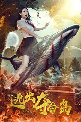 国内精品视频区在线2021
