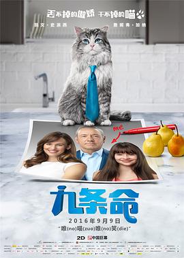 国产精品人人