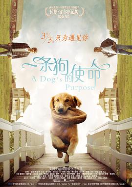 国产激情欧美