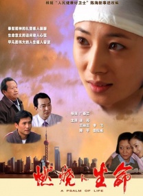 岳父客户的秘书