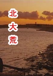 国产精品露脸国语对白99