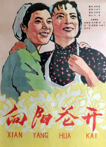 女友的姐姐