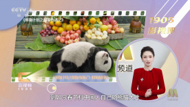 女士穿透明泳衣